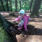 phoca_thumb_m_vp tvrt den 50 Fotogalerie